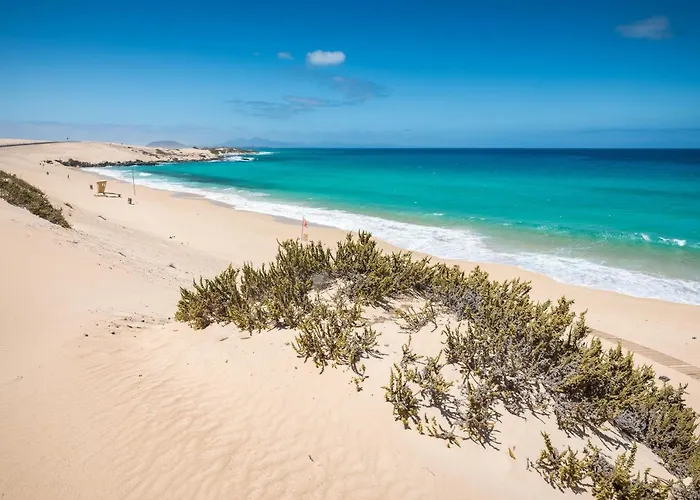 Daire Home2book Casa Chispos Corralejo, Terrace&pool Corralejo